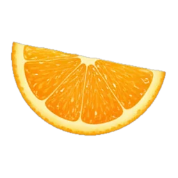 Citrus slice