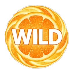Sun wild