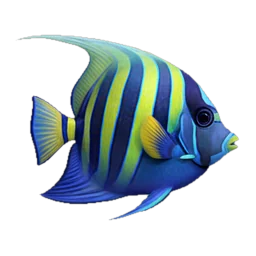 Angelfish