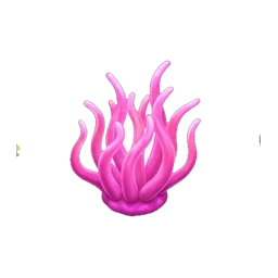 Anemone
