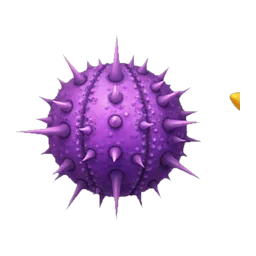 Urchin