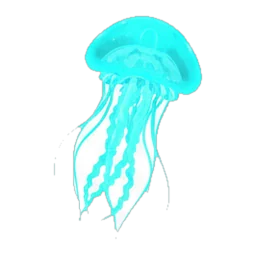 Jellyfish