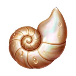 Nautilus