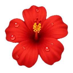 Hibiscus